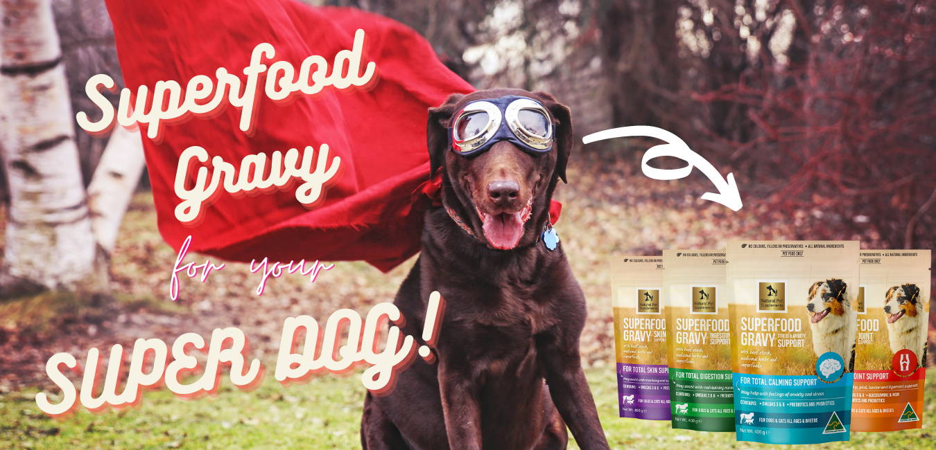 Superfood Gravies Tagged "" Natural Pet Supplements Australia